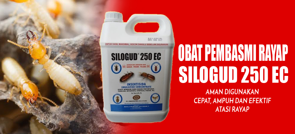 obat pembasmi rayap
