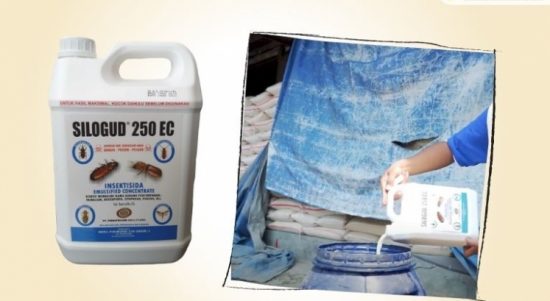 silogud 250 ec obat fogging nyamuk dan lalat
