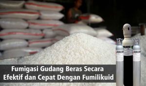 Fumigasi Gudang Beras Secara Efektif dan Cepat Dengan Fumilikuid